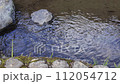 Flow of stream 112054712