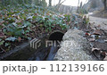 Rain drain. Rainwater runoff, ditch. Channel that is flooded with heavy rain 112139166