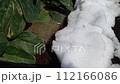 雪の日の畑の様子 112166086