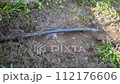 Water leaking on the water hose. 112176606