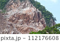 Close-up view of the landslide on the mountain. 112176608