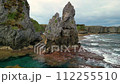 Aerial view of Cape Hedo 112255510