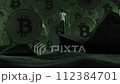 A man stands on a rock and looks at bitcoins. 3D rendering 112384701