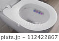 Opening the toilet lid. Toilet bowl with toilet rim deodorizer. Household chemicals to maintain cleanliness and hygiene when using the toilet. Modern plumbing, water supply and sewerage. 112422867
