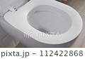 Opening the toilet lid. Modern plumbing, water supply and sewerage. Hygiene rules when using the toilet.  112422868