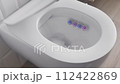 Flush the toilet with a large flow of freshwater. Toilet bowl with toilet rim deodorizer. Smoothly descending toilet seat and lid with soft close. Modern plumbing. 112422869