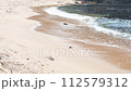 鳥取縣浦富海岸春天的風景 鳥取縣浦富海岸春天的風景 112579312