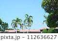 リゾート地の青空と風にゆれるヤシの木 112636627