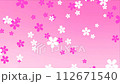 Cherry blossoms falling on pink background loop 4k 112671540