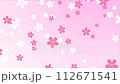 Cherry blossoms scattered on light pink background loop 4k 112671541