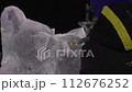 Closeup of ice sculptor hands cutting shaping two figures 112676252