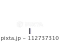 optic cable wire 112737310