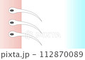 白髮 白髮是如何發生的 頭皮橫截面 垂直視頻 112870089