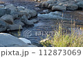 Poudre River at whitewater park in downtown of Fort Collins, Colorado, low flow in fall scenery 112873069