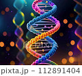 DNAの二重らせんモデル図 112891404