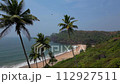 Aerial top view on tropical beach with green palm trees under sunlight Drone view 112927511