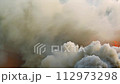 AI-generated content. Raging fire, thick smoke, footage, abstract background. Smoky texture. Video with copy space, for you backdrop, video presentations, motion wallpapers 112973298