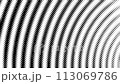 Black and white halftone pattern. Live wallpaper best for yours video opener, cover, presentation, intro 113069786
