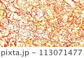 Red and white chaotic halftone caustic texture. Animation style caustic surface in slow motion. Top view. POV. Video can use in vertical position. Video cover 113071477