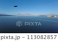 A dragonfly gliding over Lake Biwa 113082857