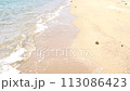 Japanese sandy beaches covered with seaweed 113086423