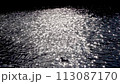 A duck swimming on the sparkling surface of the river 113087170