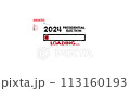 2024 Presidential Election Concept. Loading keywords and icon 113160193