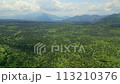 Aerial view of a huge, natural forest on an old volcanic lava flow (Aokigahara, Fuji) 113210376