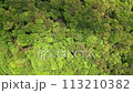 Top down aerial view of a huge, unbroken forest on an old volcanic lava flow (Aokigahara, Japan) 113210382