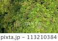 Top down aerial view of a lush, unbroken forest in a remote area 113210384