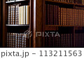Austria. Vein. September 2023: Austrian State Library. State Hall or the Prunksaal. Osterreichische National bibliothek. We look at the books standing on the shelves in the ancient library. 113211563