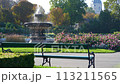 Vienna, Austria - June 17, 2023: Volksgarten. Fountain in the center of the Rose Park. Morning atmosphere in the city 113211565