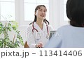 問診をする笑顔の女性医師と女性患者 113414406