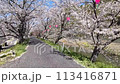 Ibara embankment walk 113416871