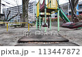 公園で揺れるブランコ 113447872