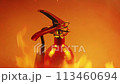 Fire Burns By Extinguisher Moving Shot 113460694