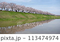 小野市櫻堤迴廊（縮時攝影） 113474974
