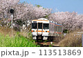 陽炎の中、桜並木沿いを走るキハ25 113513869