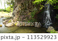 岐阜公園の御手洗池の滝 113529923