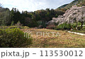 桜咲く頃の樽見鉄道の日当駅 113530012