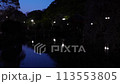 春の夜明け前の岐阜公園の花筏の池・倍速 113553805