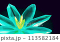 夢幻般的光線照亮的旋轉水晶玻璃水晶花的 3D 插圖 113582184