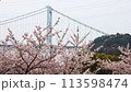 Cherry blossoms and Kanmon Bridge seen from the Turkish Tulip Garden in Hinoyama Park 113598474