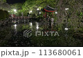 岐阜公園の日中友好庭園の花筏 113680061
