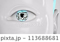 Close up eyes of humanoid robot. technologies in the futuristic. 3d animation 113688681