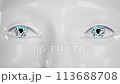 Close up eyes of humanoid robot. technologies in the futuristic. 3d animation 113688708