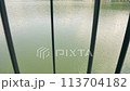 Close-up of water waves in a pond through a metal fence. Small waves of water due to gusts of wind. 113704182