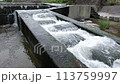 Beppu City Haruki Bridge and Haruki River 113759997