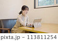 Young woman talking on the phone while looking at a laptop 113811254