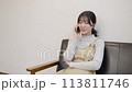 Young woman sitting on sofa and talking on the phone 113811746